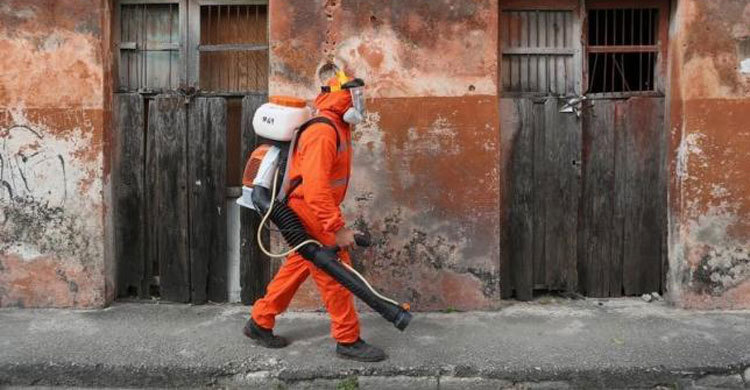 মেক্সিকোয় ১১ গর্ভবতী নারী জিকায় আক্রান্ত