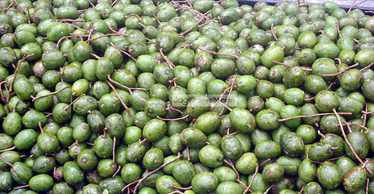 ঝালকাঠির আমড়া যাচ্ছে বিশ্বের বিভিন্ন দেশে