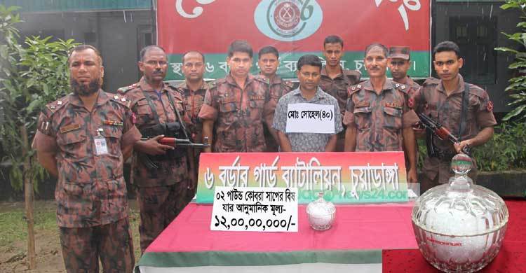 চুয়াডাঙ্গায় ১২ কোটি টাকার সাপের বিষসহ আটক ১