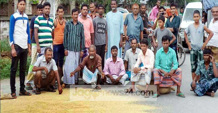 রাস্তায় ধান ফেলে পলাশবাড়ীতে কৃষকদের প্রতিবাদ