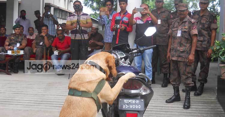 বেনাপোলে বিজিবির ডগ স্কোয়াড
