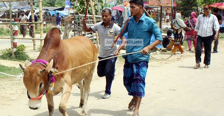 ‘ভাই দাম কত নিলো কত’