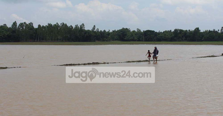 পাহাড়ি ঢলে প্লাবিত ঝিনাইগাতীর বিস্তীর্ণ এলাকা 