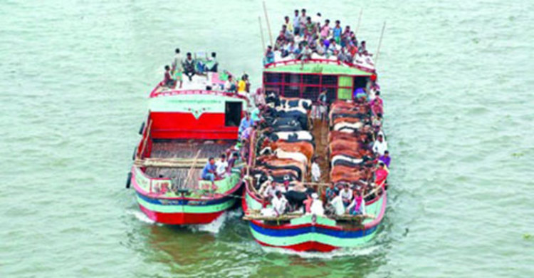 শীতলক্ষ্যায় গরুবোঝাই ট্রলারডুবি