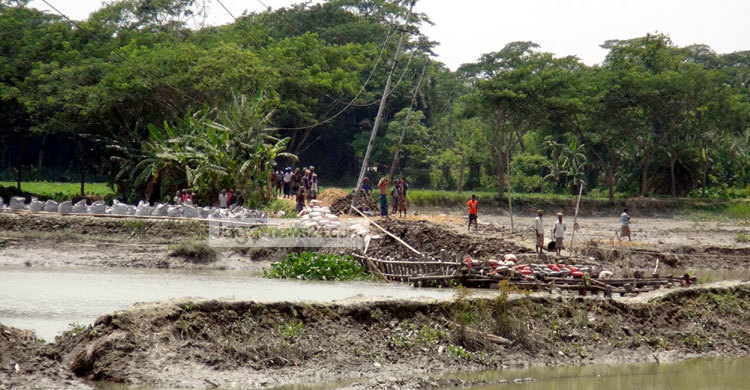 কুমারখালীতে নদী দখল করে মাছ চাষ 