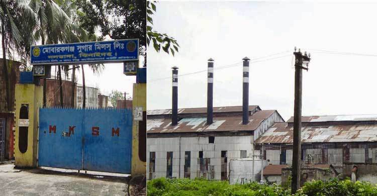 মোবারকগঞ্জ সুগার মিলে ৩৩ কোটি টাকার চিনি অবিক্রিত