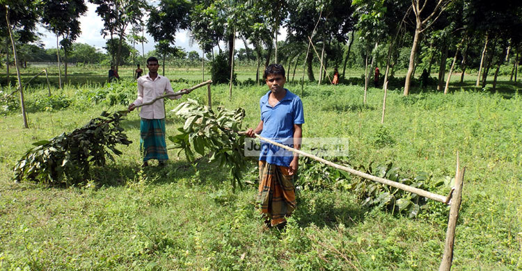 এ কেমন শত্রুতা!