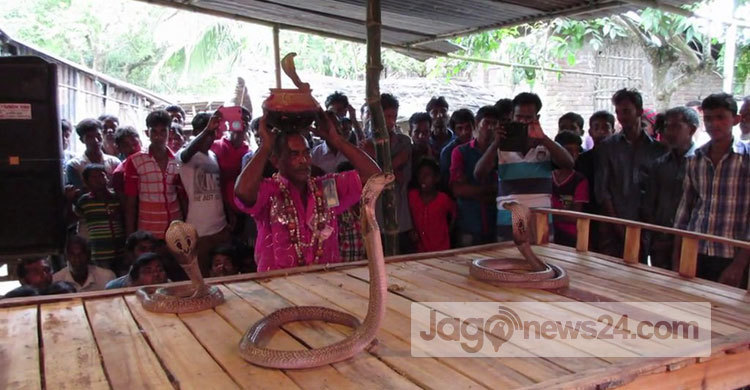 ৩০০ বছরের ঐতিহ্যবাহী ঝাপান খেলা