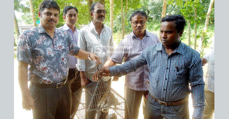 লজ্জাবতী বানরটি এখন বঙ্গবন্ধু সাফারি পার্কে