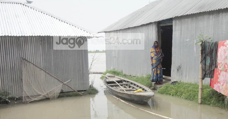 তিস্তায় পানি বৃদ্ধি : চর এলাকায় বন্যা