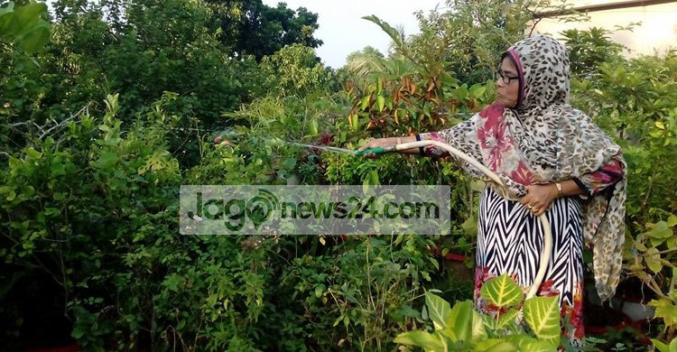 গাছ ছাড়া থাকতে পারেন না তিনি