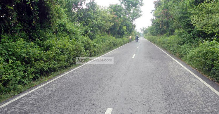 নওগাঁ-রাজশাহী মহাসড়কের দু’পাশ জঙ্গলে পরিপূর্ণ