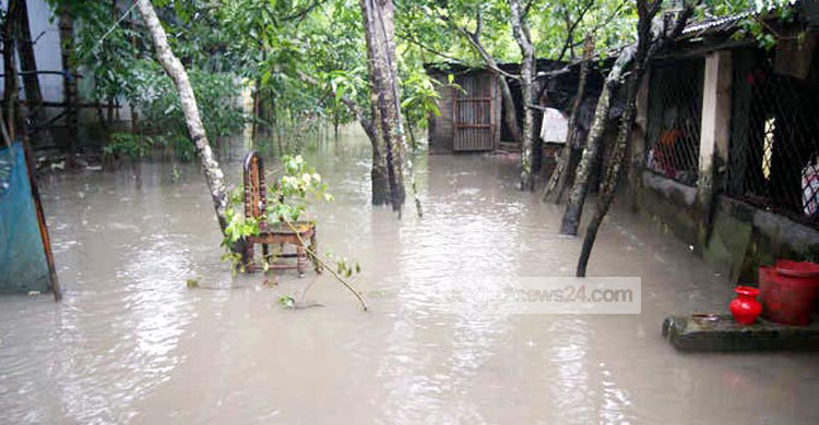 নড়াইলে ৩ হাজার মাছের ঘের ভেসে গেছে