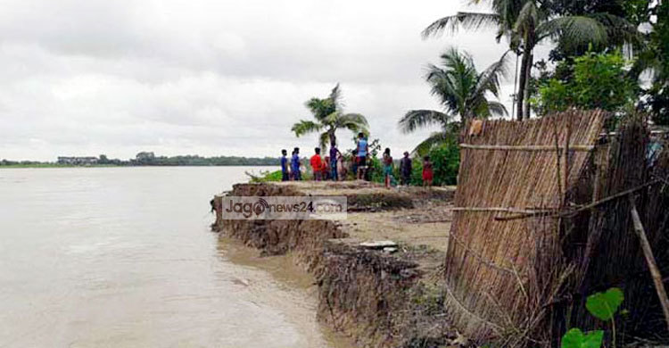 মধুমতির ভাঙনে দিশেহারা তারা
