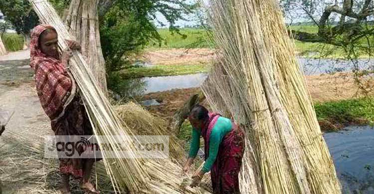 পাটের আঁশে স্বপ্ন বুনছেন ১৩ হাজার নারী শ্রমিক