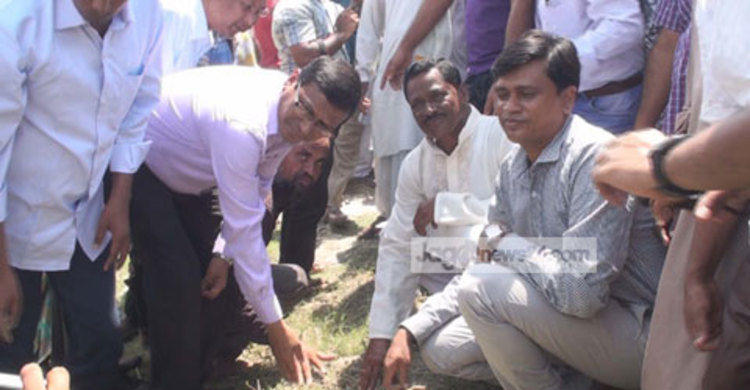 কপোতাক্ষের তীরে দুই লাখ তাল বীজ রোপনের উদ্বোধন