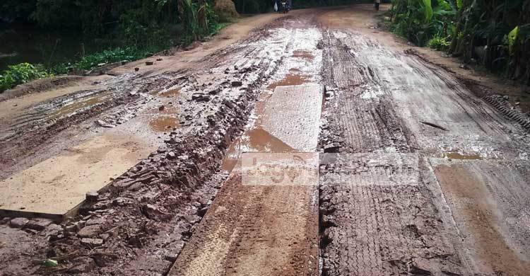 ৩ মাসেই শরীয়তপুর-চাঁদপুর সড়কের বেহাল দশা