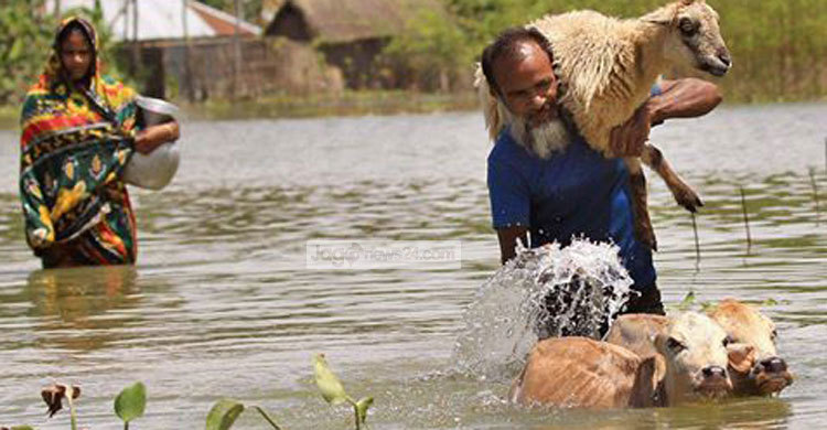 বন্যার পানিতে ভাসছে টাঙ্গাইলের জনপদ