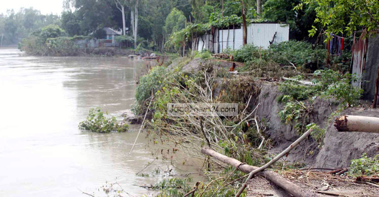 নদী ভাঙনের কবলে কালিহাতীর ১৪ গ্রাম