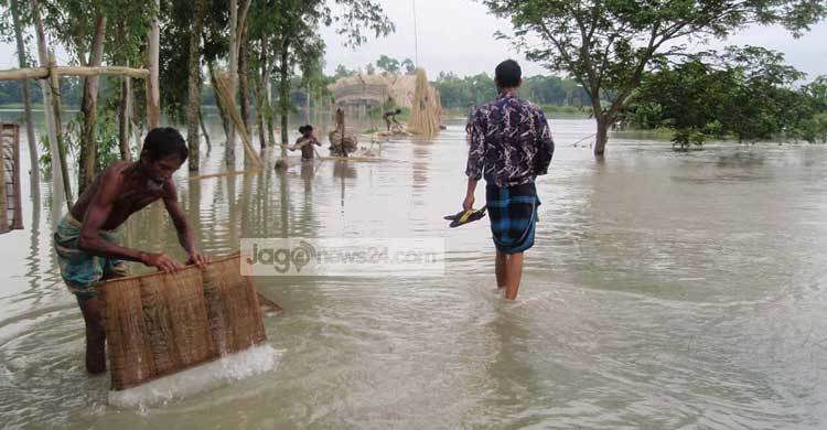 বন্যায় ক্ষতিগ্রস্ত মাছ চাষিরা : প্রভাব পড়বে বাজারে