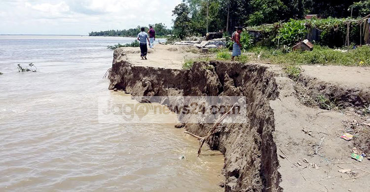 টাঙ্গাইলে বন্যায় ৭৬৯ কোটি টাকার ক্ষতি