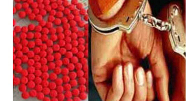 গোয়ালন্দে ইয়াবাসহ যুবক আটক