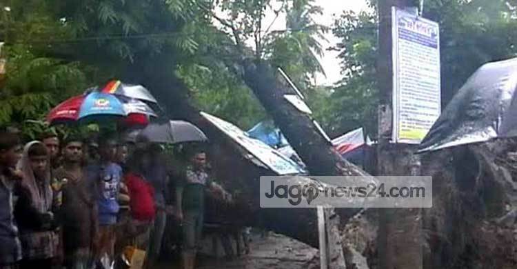 বাগেরহাটে গাছ চাপায় নারীর মৃত্যু