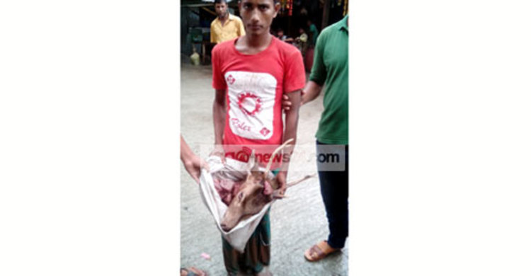 হরিণের মাথাসহ যুবক আটক 