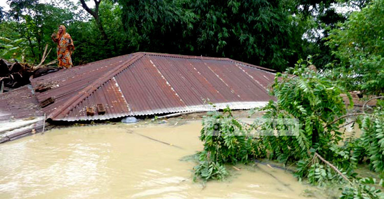 সারিয়াকান্দিতে ৫০ হাজারেরও বেশি মানুষ পানিবন্দি