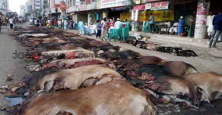 পুঁজি সংকটে চামড়া কেনা নিয়ে দুশ্চিন্তায় ব্যবসায়ীরা
