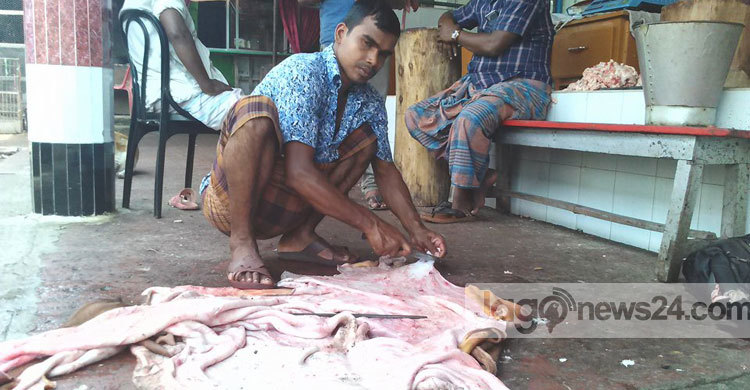 কুরবানির পশুর চামড়া নিয়ে বিপাকে ঝালকাঠির ব্যবসায়ীরা 
