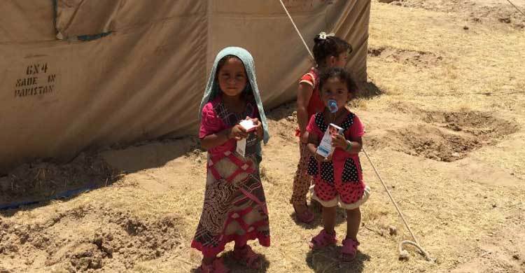 বিশ্বে ছিন্নমূল শিশু ৫ কোটি