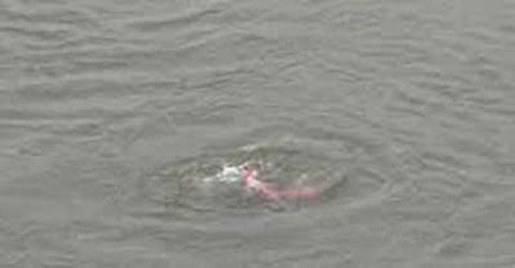 ঠাকুরগাঁওয়ে পানিতে ডুবে দুই শিশুর মৃত্যু