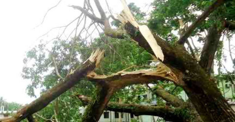 হঠাৎ ঝড়ে জিয়ানগরে শতাধিক ঘর বিধ্বস্ত