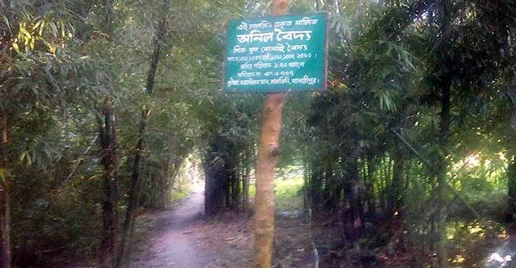 সাইনবোর্ড টাঙিয়ে কৃষকের জমি দখলের অভিযোগ