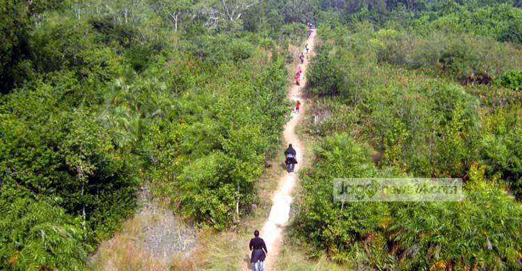 সুন্দরবনে কোস্টগার্ডের সঙ্গে বনদস্যুদের বন্দুকযুদ্ধ 