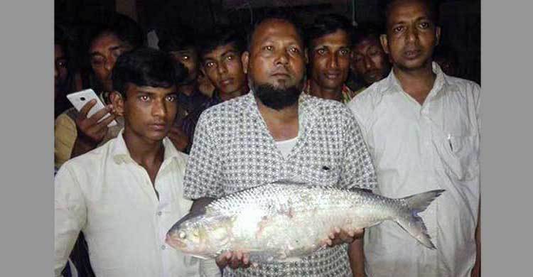 সেই ইলিশ নিয়ে গণভবনে কোরবান আলী