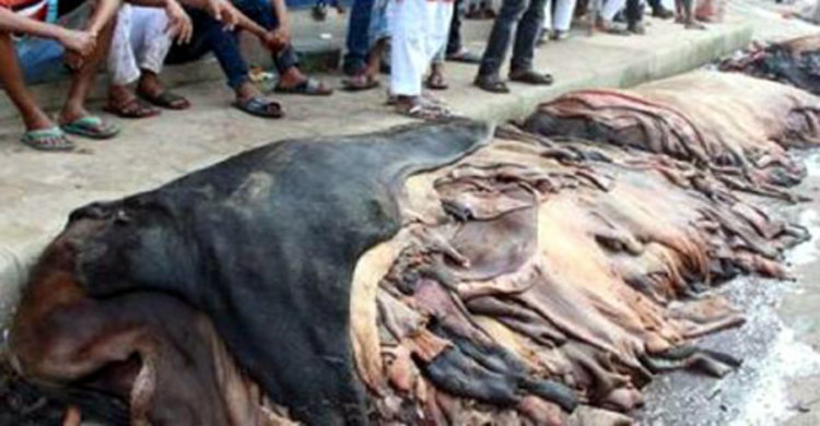 ট্যানারি মালিকের কাছে জিম্মি নওগাঁর ব্যবসায়ীরা