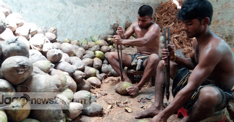 কালুখালীর নারিকেলের ছোবড়া যাচ্ছে সারা দেশে