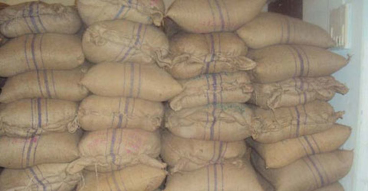 লোহাগড়ায় জিআরের ১৬ মেট্রিক টন চাল জব্দ