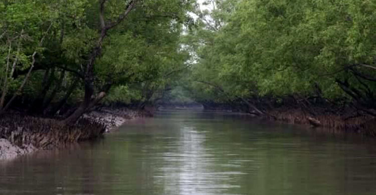 সুন্দরবনের সাতক্ষীরা রেঞ্জে ৮ জেলে অপহৃত