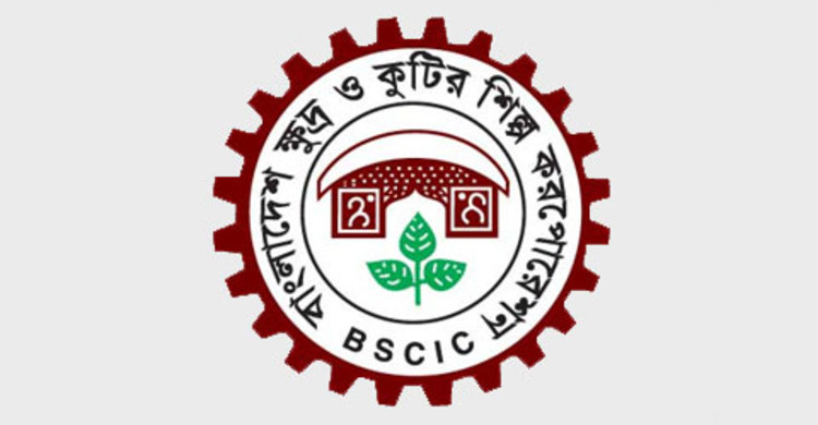 কাঁচা চামড়া ঢুকবে হাজারীবাগে : বিসিক