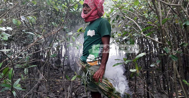 সুন্দরবন পশ্চিম বনবিভাগ নিয়ন্ত্রণ করছে দশ দস্যু বাহিনী