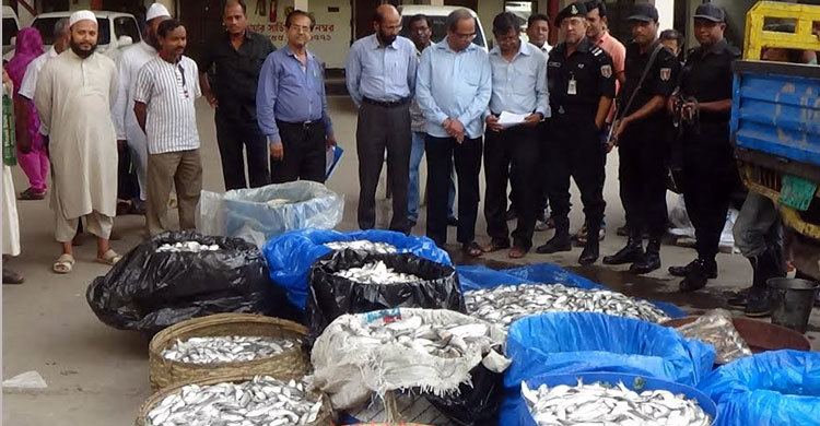 যাত্রাবাড়িতে ১১শ’ কেজি জাটকা জব্দ : ৩ জনকে দণ্ড