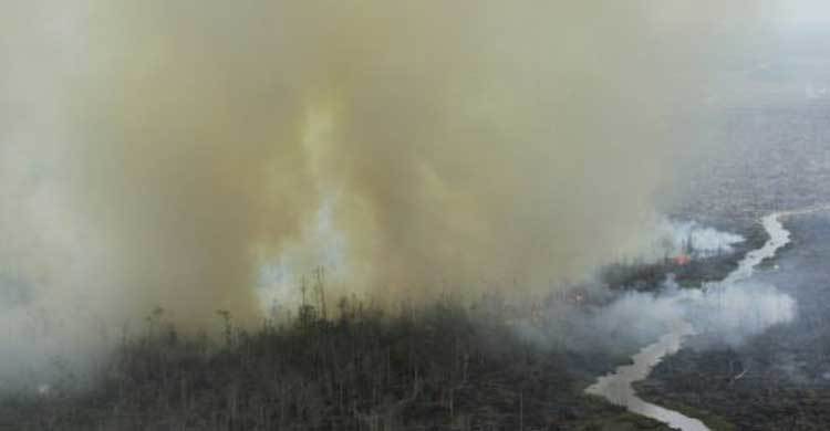 Indonesian clerics issue fatwa against forest fires 