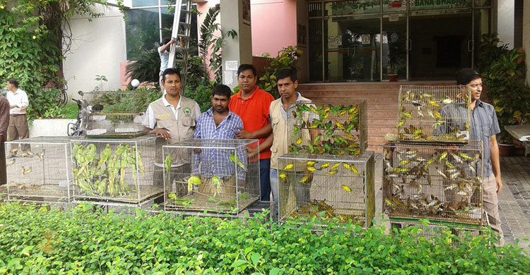 600 birds seized from Savar, 1 held