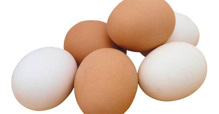 Need $150 to buy a dozen eggs!