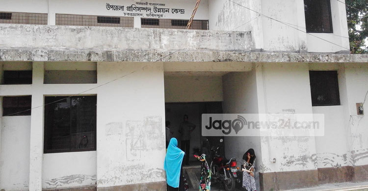 লোকবল সংকটে চরভদ্রাসন প্রাণিসম্পদ অফিস