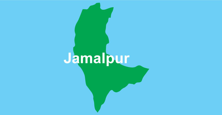 Son kills father in Jamalpur  