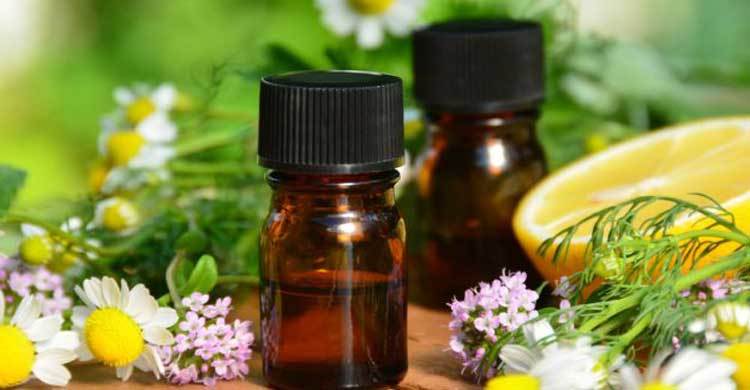 Kidney stones may be prevented by citrus extract